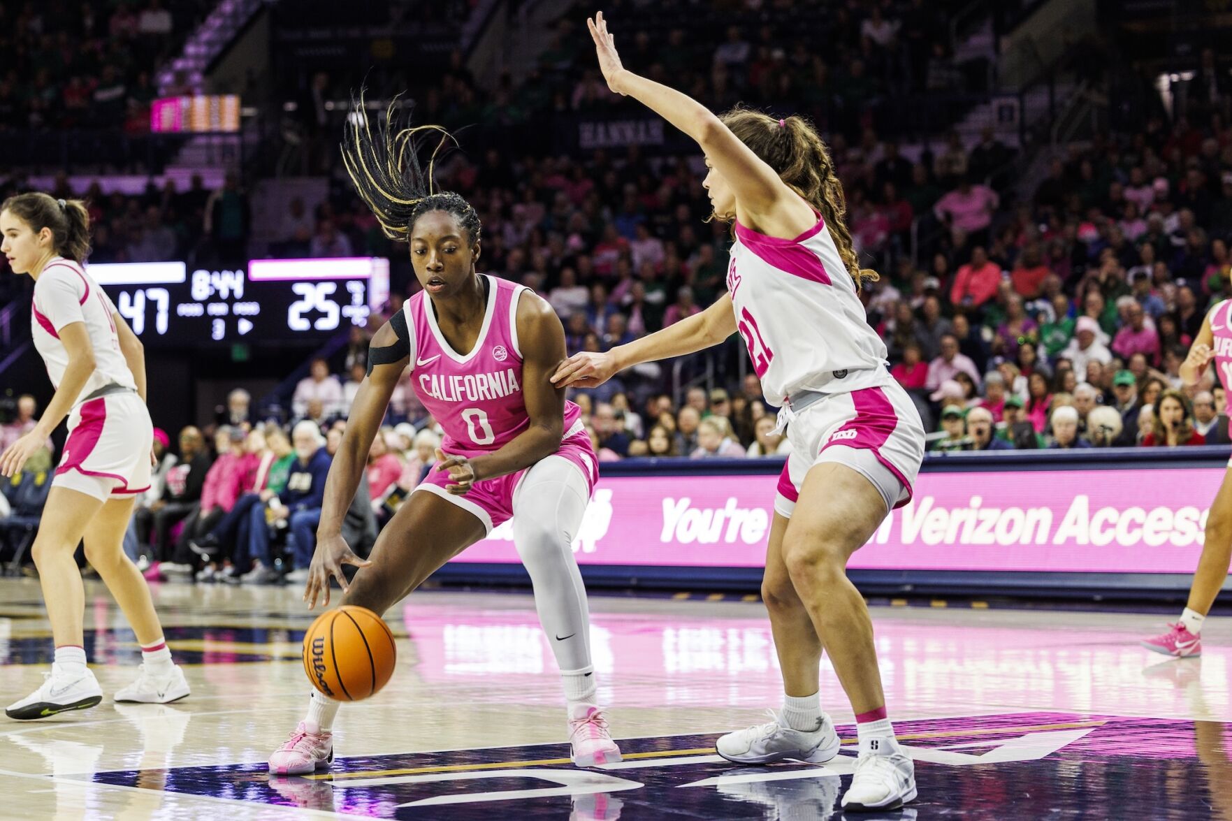 California Notre Dame Basketball